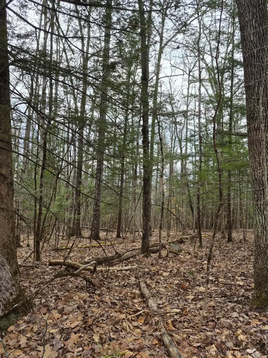 Pond Road #1, Bellows Falls, VT 05346 - #2