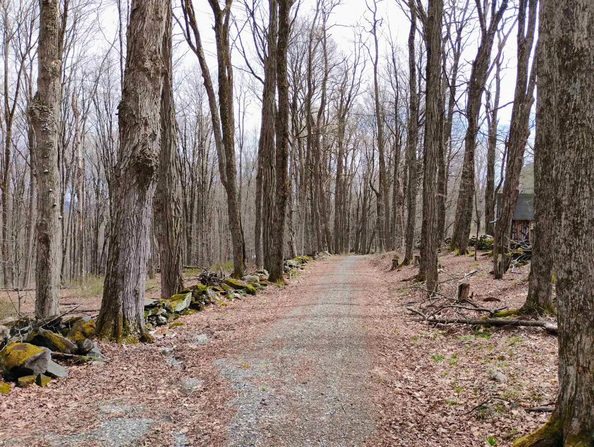 Lot 1 Faraway (Jones) Road, Putney, VT 05346 - #1