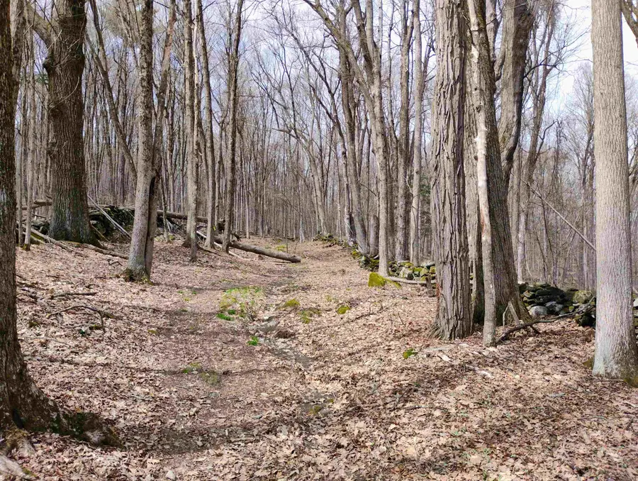 Lot 1 Faraway (Jones) Road, Putney, VT 05346 - #2