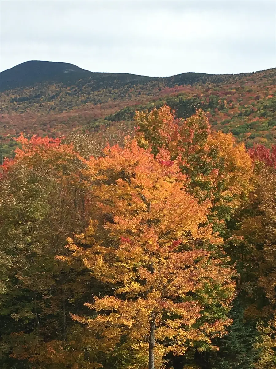 1063 New Hampshire Route 25 Highway, Warren, NH 03279 - #2