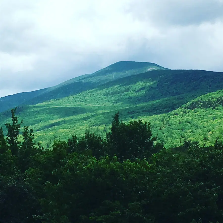 1063 New Hampshire Route 25 Highway, Warren, NH 03279 - #3