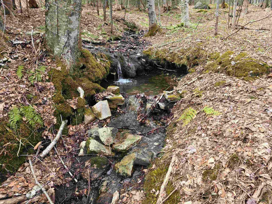 0 Magee Road, Stamford, VT 05352 - #2