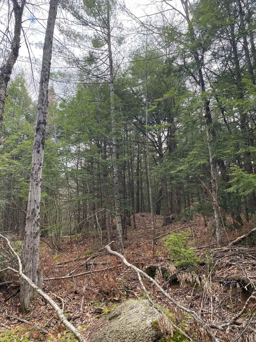 0 Corrigan Way, Windsor, NH 03244 - #2