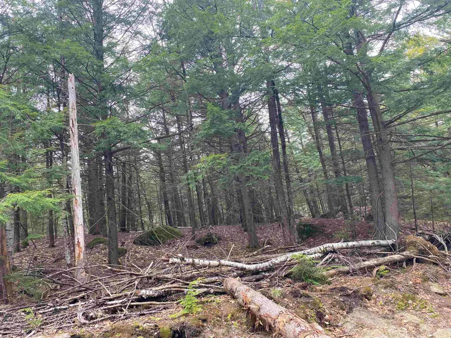 0 Corrigan Way, Windsor, NH 03244 - #3