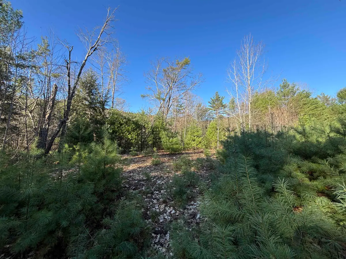 00 Simonsville Road #Lot 3, Andover, VT 05143 - #1