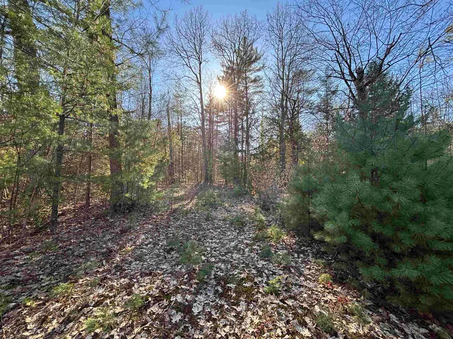 00 Simonsville Road #Lot 3, Andover, VT 05143 - #3