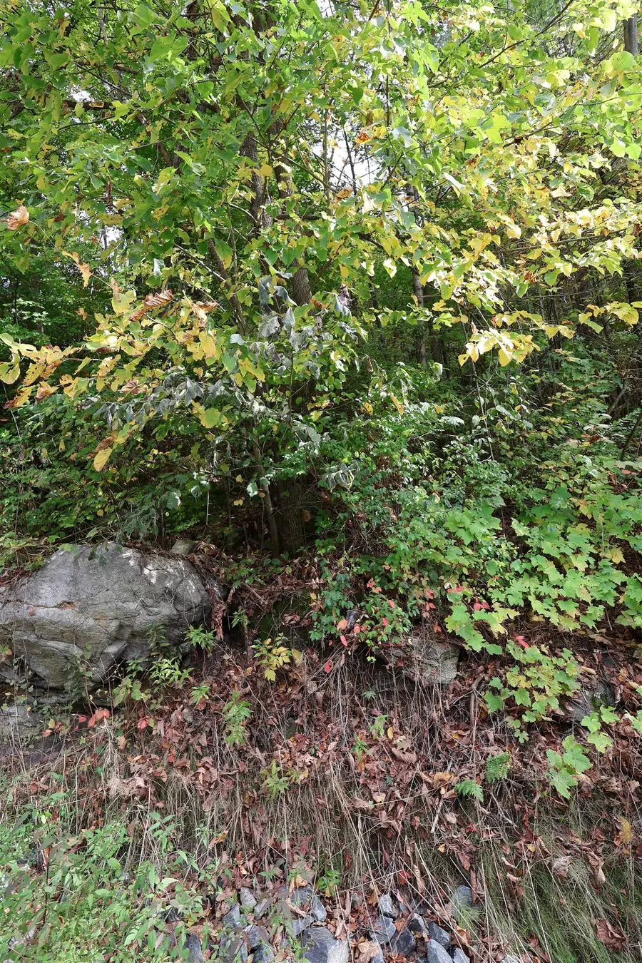 0 Christian Street, Hartford, VT 05001 - #2