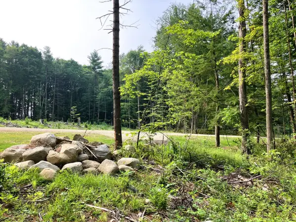 Lot 5 Fern Lake Road, Leicester, VT 05733