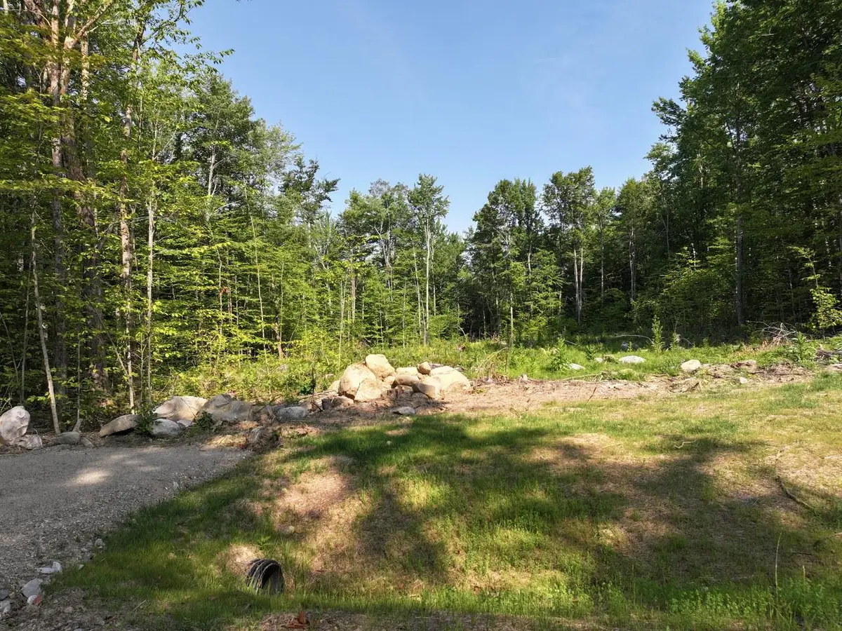 Lot 6 Fern Lake Road, Leicester, VT 05773 - #1