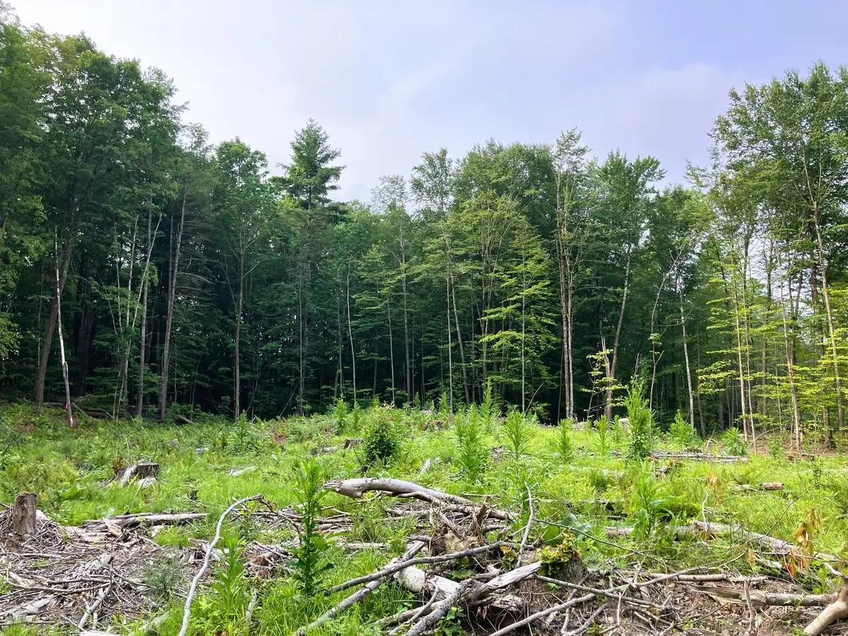 Lot 8 Fern Lake Road, Leicester, VT 05733 - #1