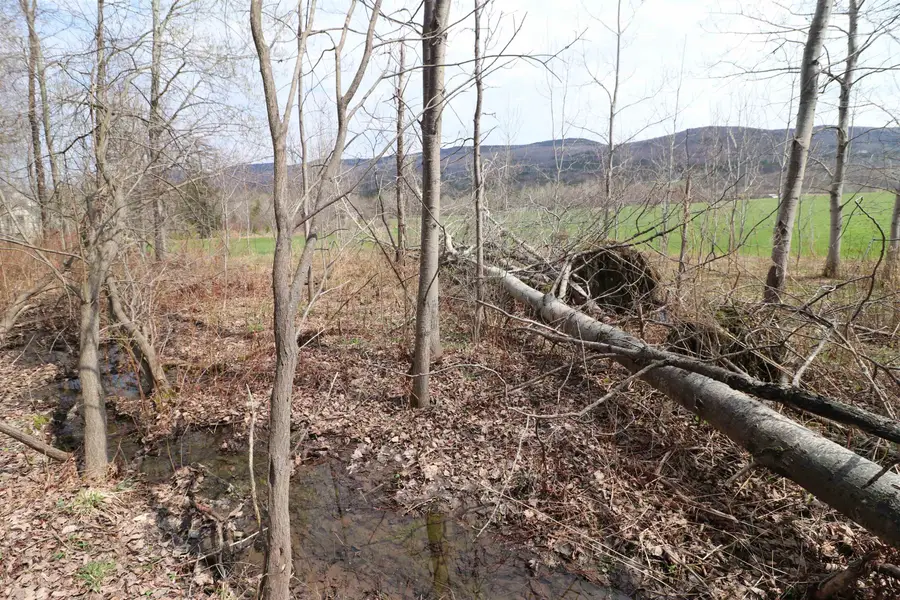 600 Woods Road South, Warren, VT 05674 - #2