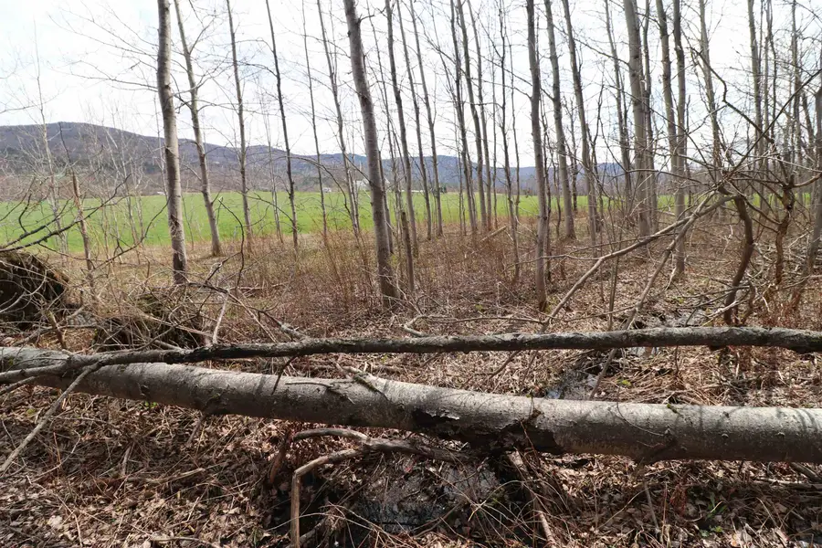 600 Woods Road South, Warren, VT 05674 - #3