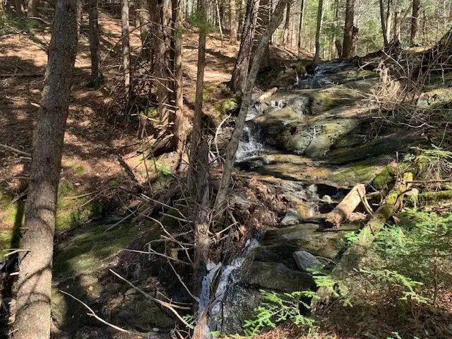 TBD VT Rt 100, Warren, VT 05674 - #1