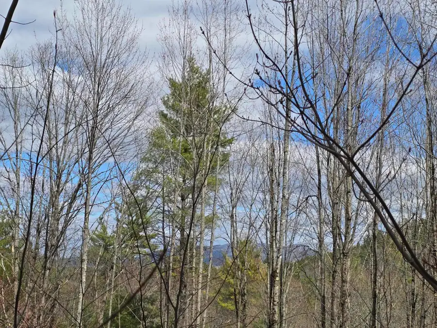 00 Haley Town Road, Brownfield, ME 04010 - #3