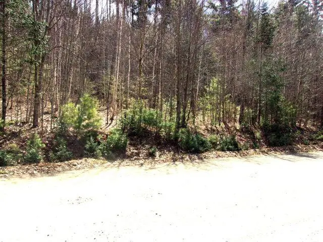 Swiftwater Circle #259, Mountain Lakes, NH 03785 - #3