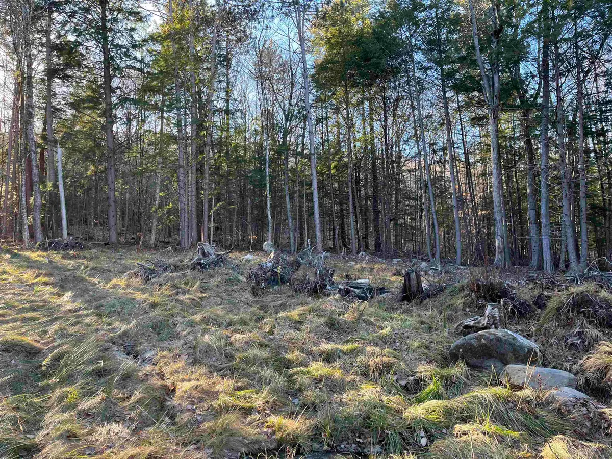 11 Raccoon Hill Road #Map 235 Lot11, Salisbury, NH 03268 - #1