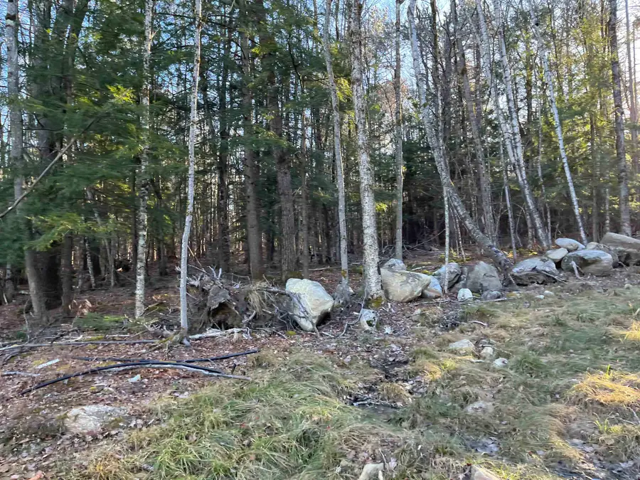 11 Raccoon Hill Road #Map 235 Lot11, Salisbury, NH 03268 - #3