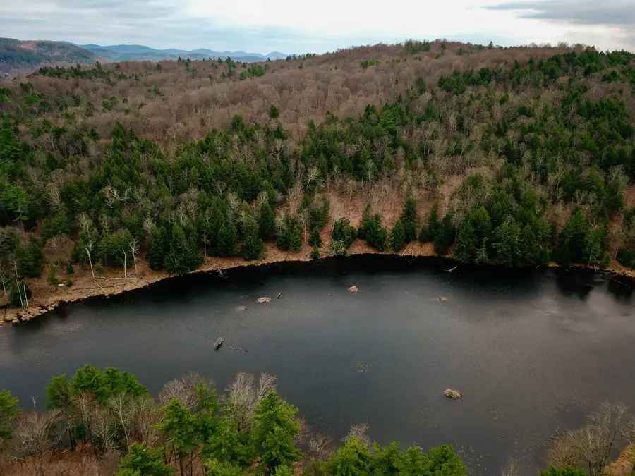 765 Camp Road, Hubbardton, VT 05733 - #3