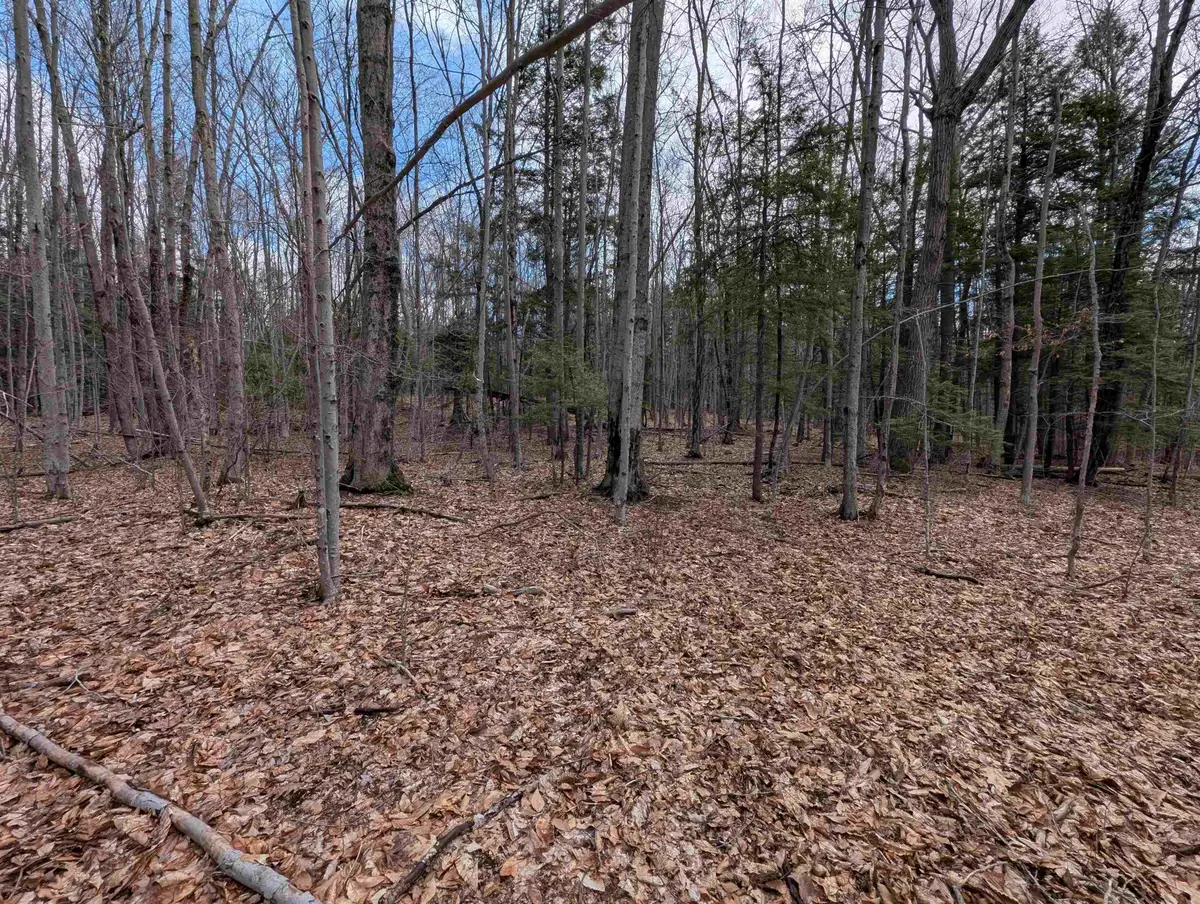 Map 41 Lot 21 Jewett Road, Weare, NH 03281 - #1