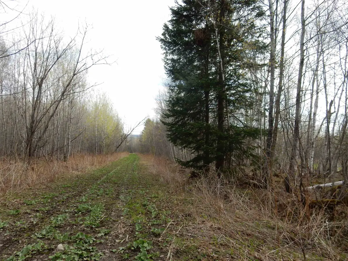 00 Burton Hill Road, Barton, VT 05822 - #1