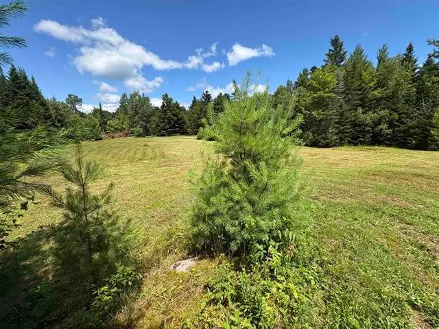 4366 VT Rt 100 N, Hyde Park, VT 05655 - #1