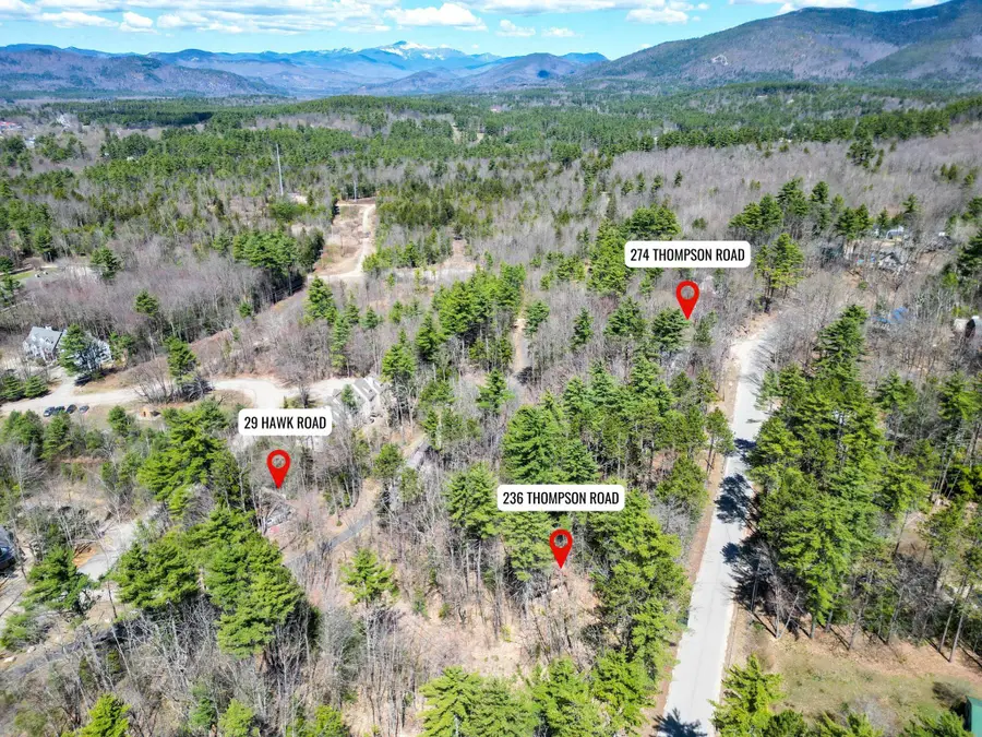 236 Thompson Road, North Conway, NH 03860 - #3