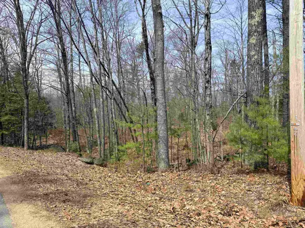 Map 208 lot 8 Baptist Hill Road, Canterbury, NH 03224