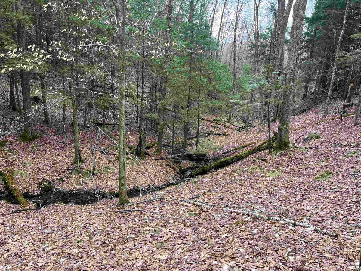 Lot 4 Haley Drive, Hyde Park, VT 05655 - #1