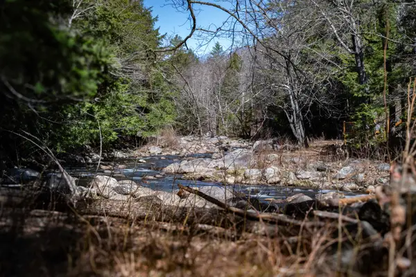Lot 1 N Dorchester Road, Wentworth, NH 03282