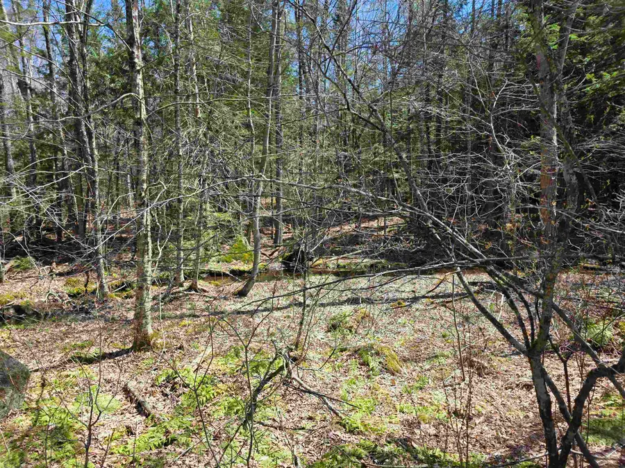0 Mansfield Road, Marlow, NH 03456 - #2