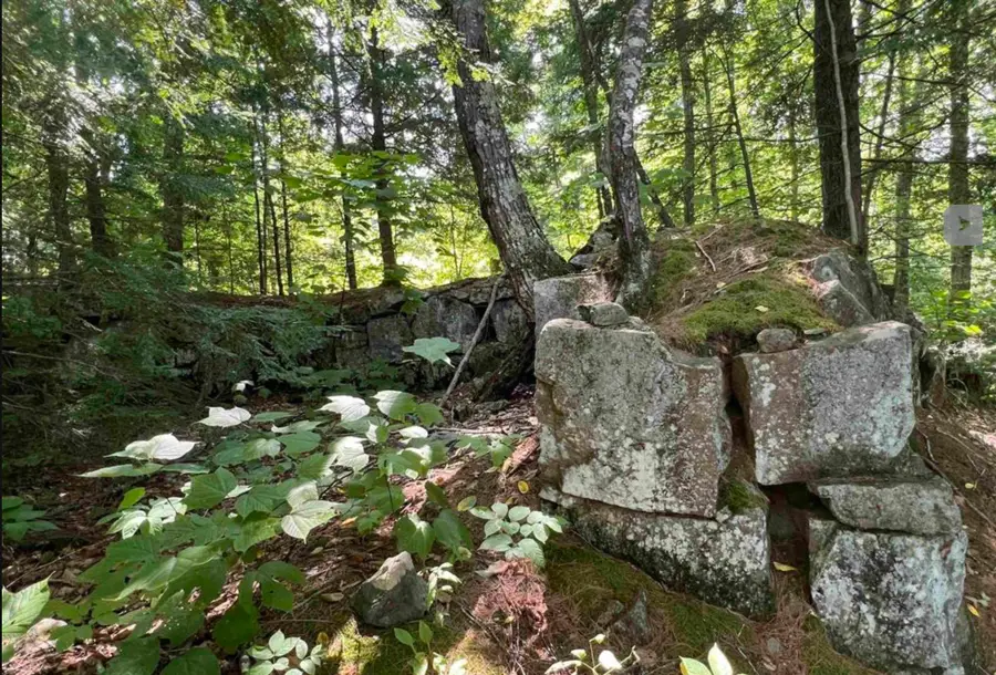Map 6, Lot 38 Chadwick Hill Road, Webster, NH 03303 - #3