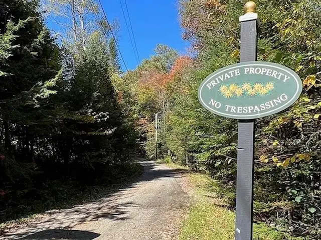 192 Pingree Park Lane, Londonderry, VT 05148 - #3