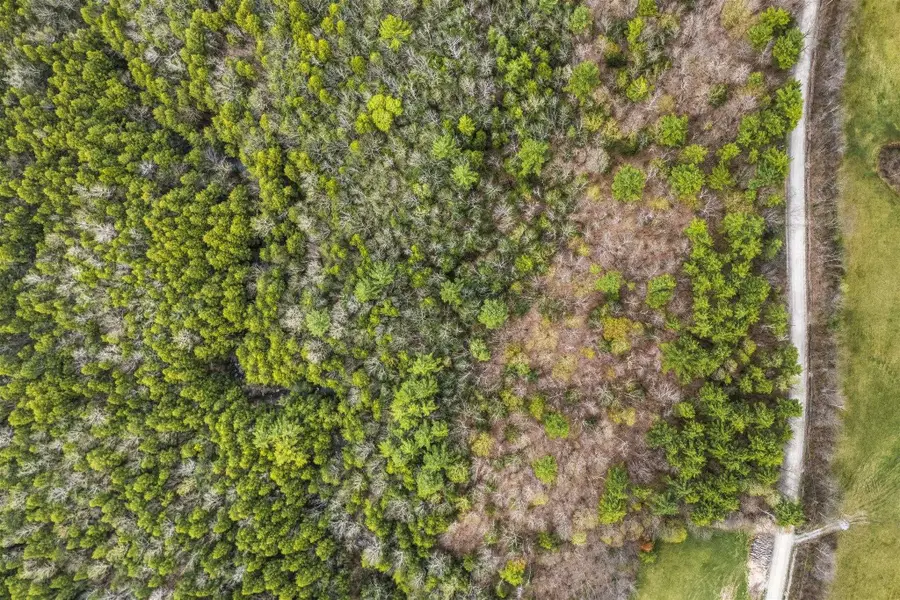 0 Birdseye Road, Castleton, VT 05735 - #2