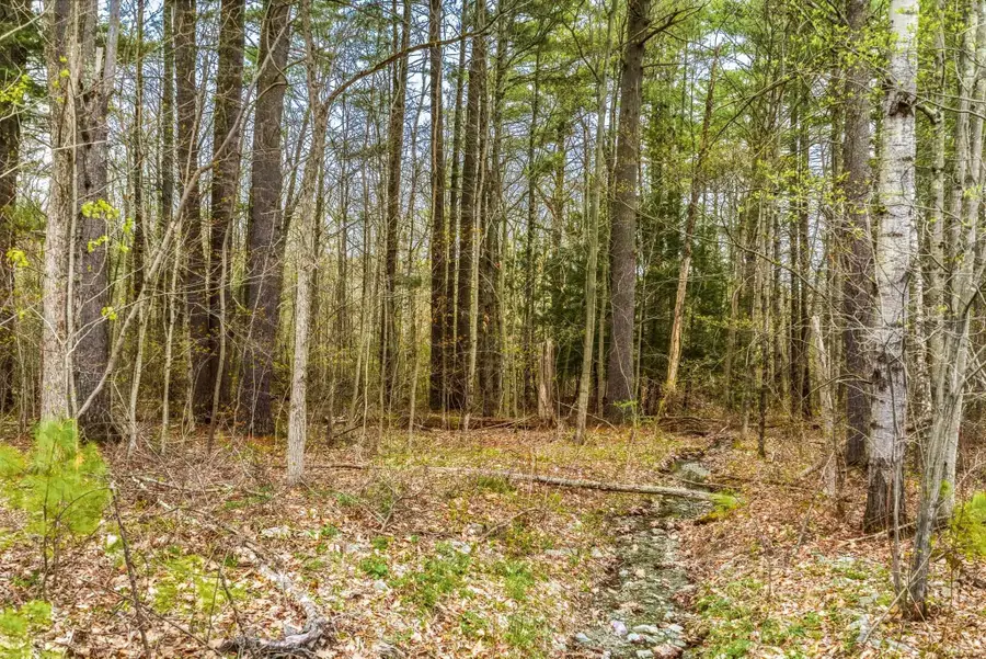 0 Birdseye Road, Castleton, VT 05735 - #3