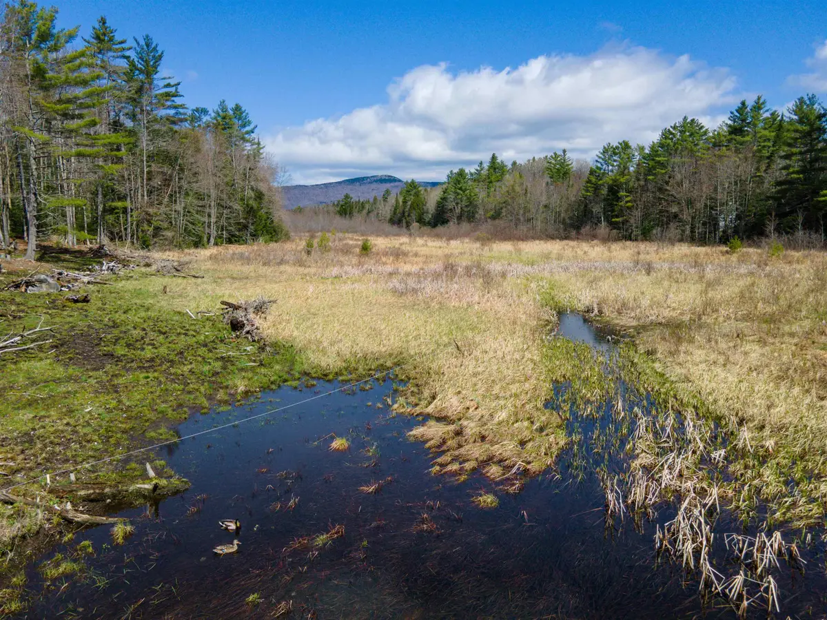 193 Croydon Turnpike, Croydon, NH 03773 - #1