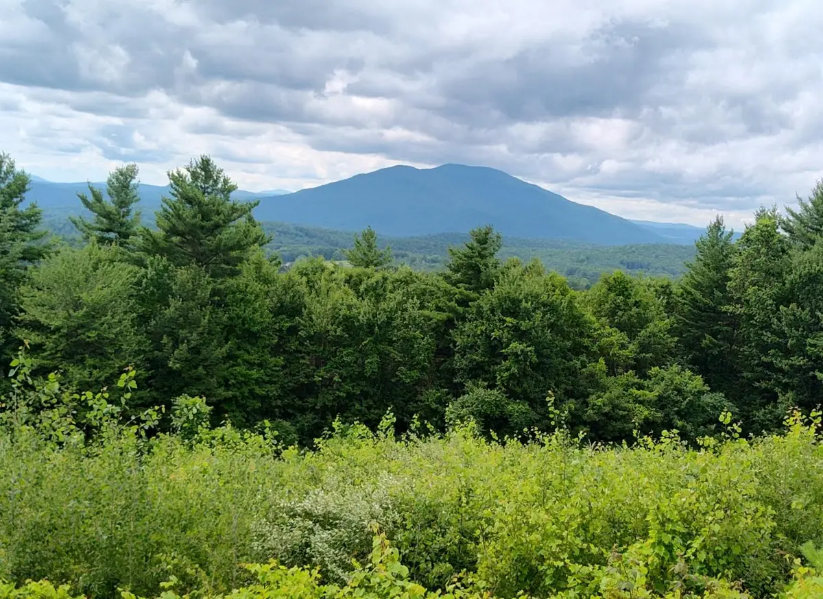 0 Cat Hole Road, Claremont, NH 03743 - #1