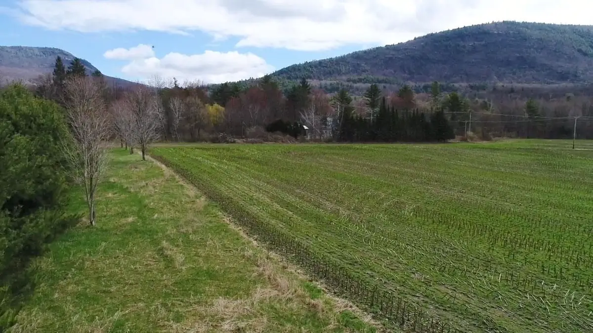 TBD Hewitt Road, Bristol, VT 05443 - #1