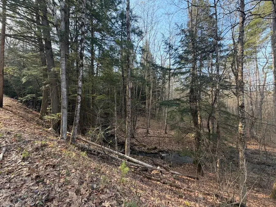 0 Kemp Road, Croydon, NH 03773 - #2
