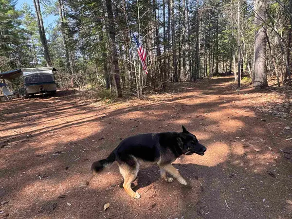00 Province Lake Road, Effingham, NH 03882