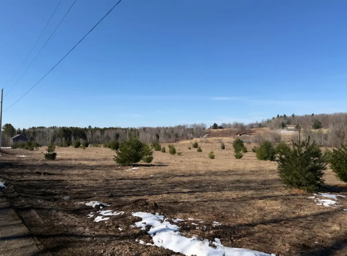0 Fox Meadow Lane #Lot 5, Wolcott, VT 05680 - #1