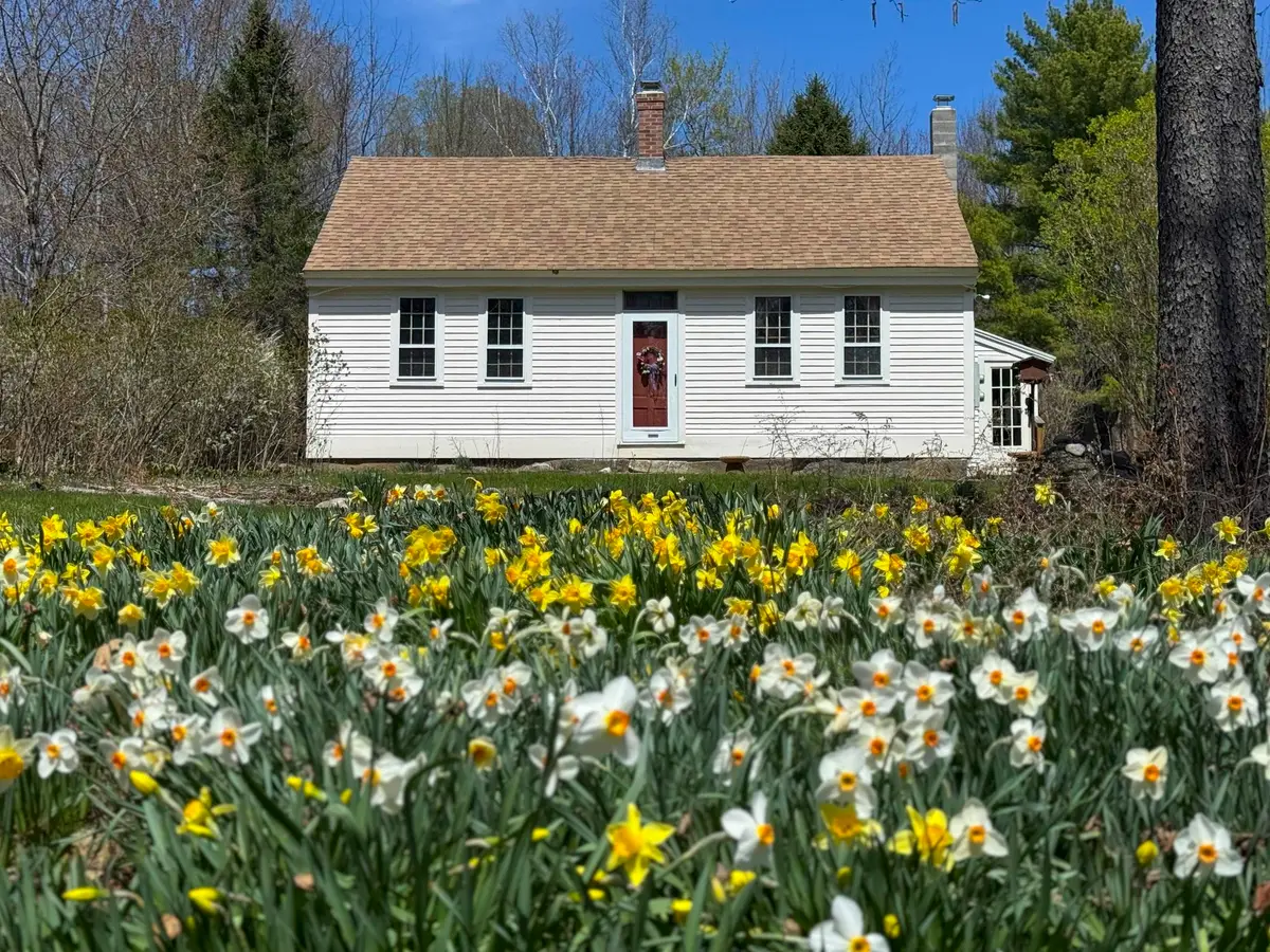 334 Brush Brook Road, Dublin, NH 03444 - #1