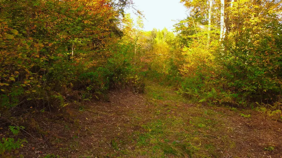 463 Old Talc Mine Road, Duxbury, VT 05676 - #2
