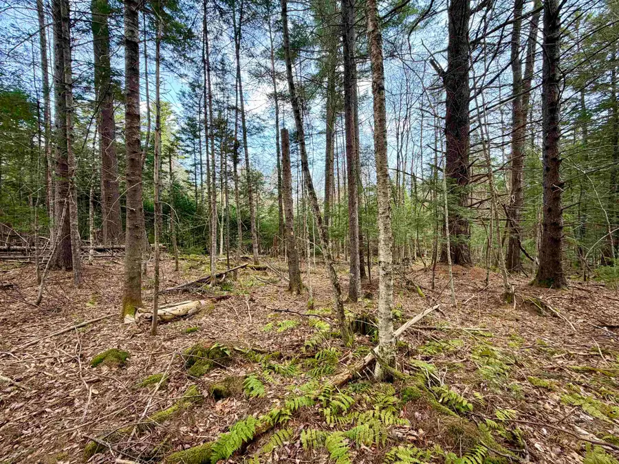 0 Cuttyhunk Road #7, Thornton, NH 03223 - #2