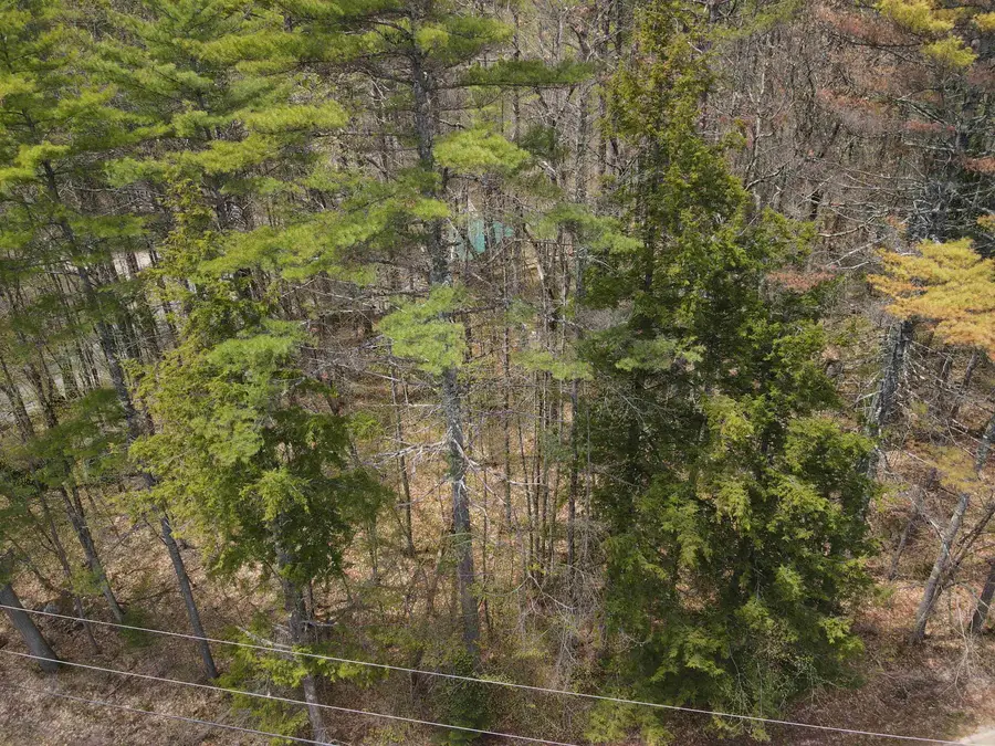 12 Eidelweiss Drive, Madison, NH 03849 - #2
