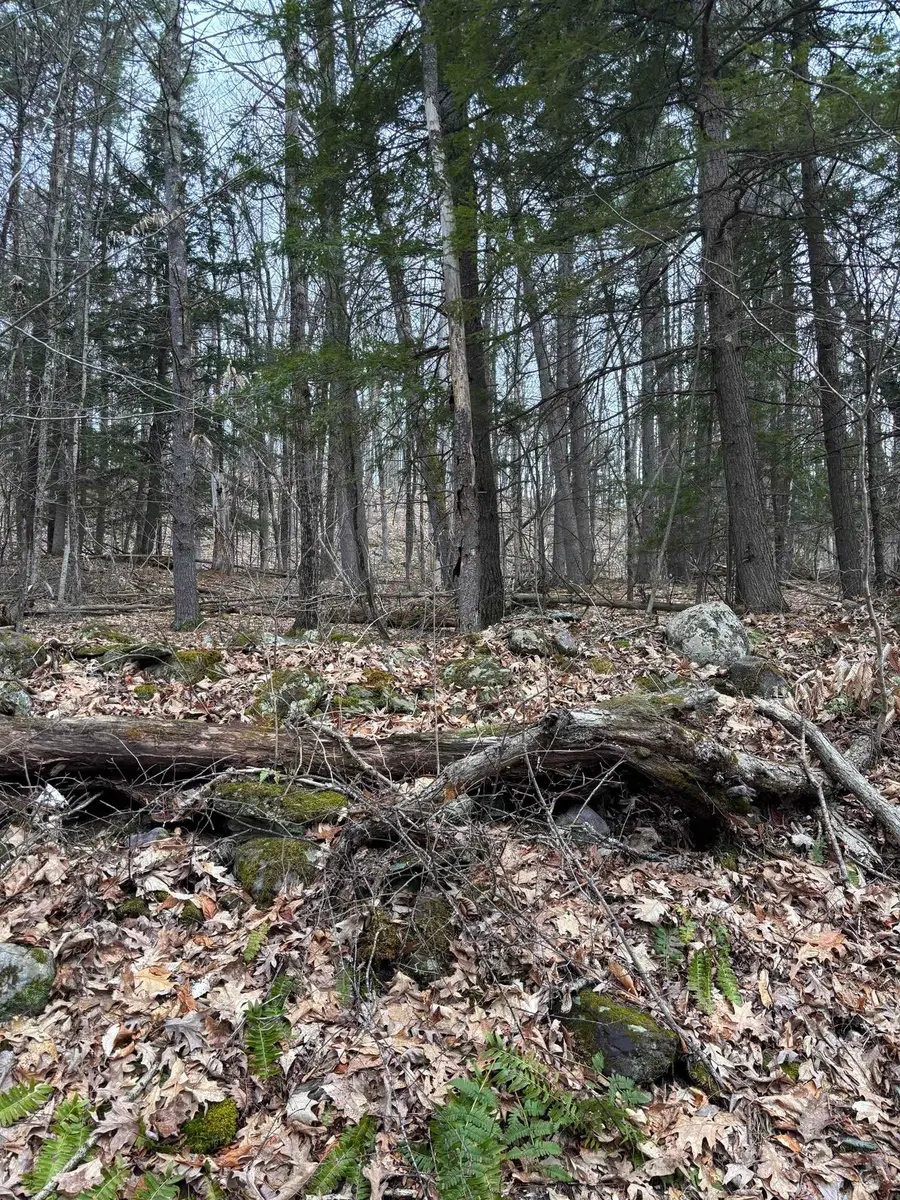 00 Coon Hill Road, Castleton, VT 05735 - #2