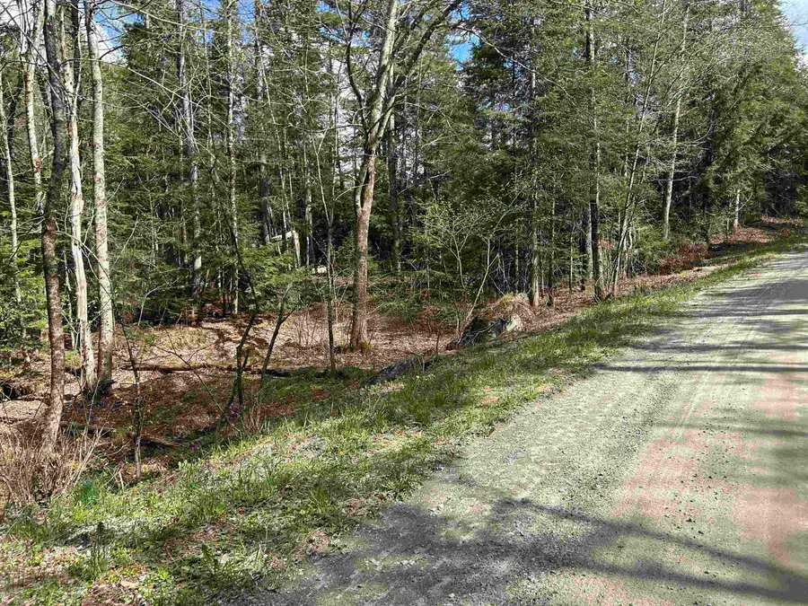 00 Boynton Road, Londonderry, VT 05148 - #3