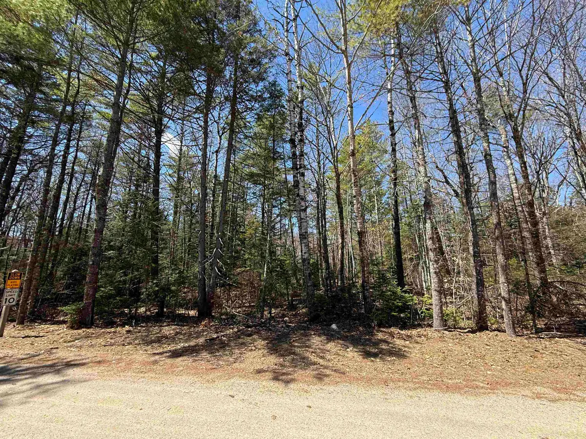Lot 14 Partridgeberry Circle, Tuftonboro, NH 03816 - #1