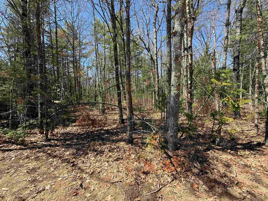 Lot 14 Partridgeberry Circle, Tuftonboro, NH 03816 - #3