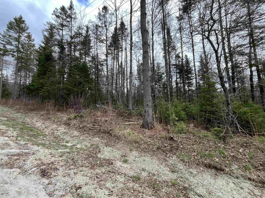 TBD Center Pond Road, Newark, VT 05871 - #3