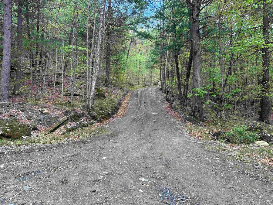 188 Rattlesnake Mountain Road, Townshend, VT 05353 - #2